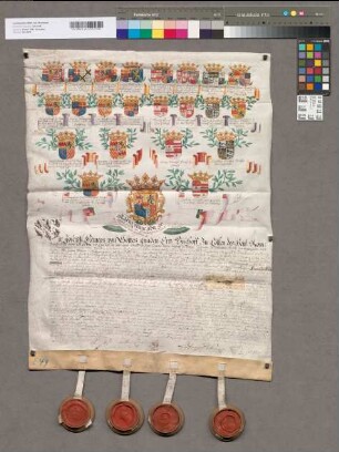 16er-Wappenahnentafel der Maria Franziska Gräfin zu Manderscheid-Blankenheim. Bestätigt durch Josef Clemens Erzbischof zu Köln, Johann Wilhelm Pfalzgraf bei Rhein, Hugo Franz Graf zu Königsegg-Rothenfels, Franz Ernst Graf zu Salm-Reifferscheid. Mit den 4 Unterschriften. 4 Siegel in Holzkapseln (von 4) erhalten.