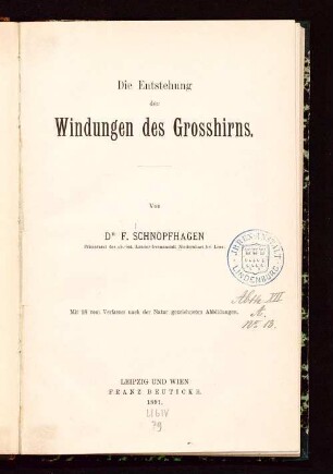 Die Entstehung der Windungen des Grosshirns
