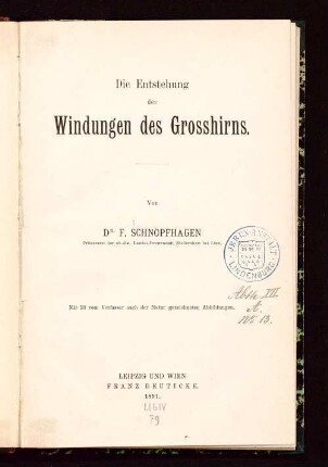Die Entstehung der Windungen des Grosshirns