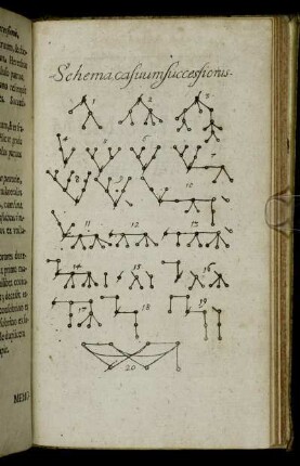 Schema casuum successionis.