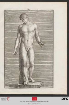Taf. 46 [Apoll von Belvedere (Proportionen; Schraffur)]