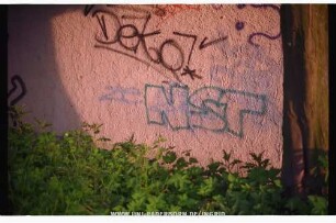 NST