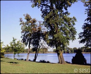 Potsdam, Neuer Garten, Parkansicht, Blick vom Uferweg zwischen Kaninchenberg und Grünem Haus über den Heiligen See auf das Maschinenhaus in Glienicke in der Ferne.