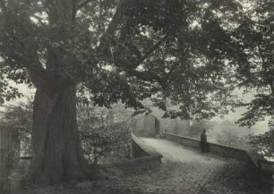 Schloss Rochlitz, Hintere Schlossbrücke mit Schlosslinde