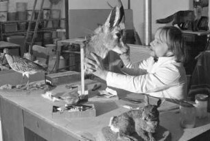 Atelier "Biologische Präparatoren Hans-Peter Nickel und Jörg Tensi" in der Brauerstraße 15