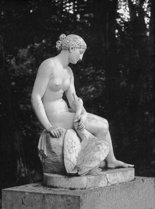 Leda