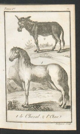 Tafel: 1 le Cheval. 2 l'Ane