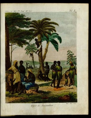 Taf. X. Neger in Senegambien