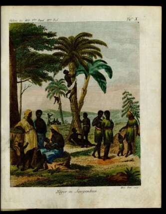Taf. X. Neger in Senegambien