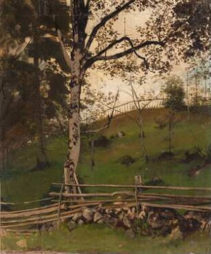 Sommerlandschaft