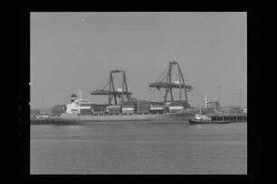 TFL Adams (1981), Artimon Shipping, Elsfleth