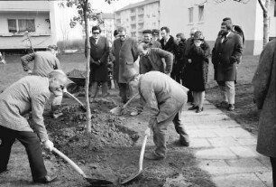 Freiburg: Julius-Brecht-Straße; Oberbürgermeister beim Setzen der Eichen