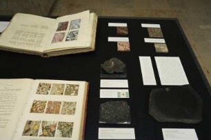 SLUB, Ausstellung "Gespräche mit der Erde. Geowissenschaften in Sachsen" : Ausstellungspräsentation im Buchmuseum. Ausstellungsvitrine mit Marmor-Mustertafeln und Basalt-Stücken
