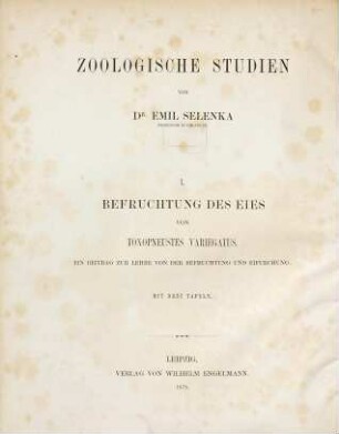 Zoologische Studien, 1. Befruchtung des Eies von Toxopneustes Variegatus