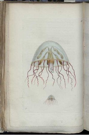 [Abb. 196]