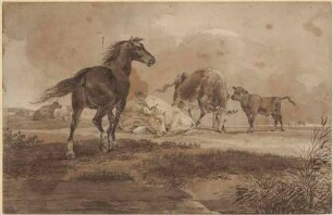 Rinder und Pferd auf der Weide