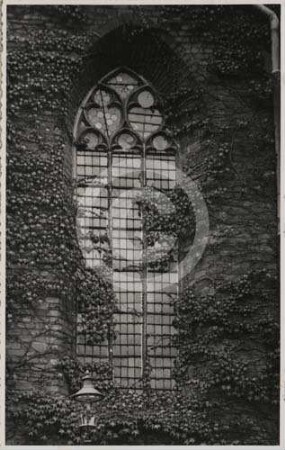 Fenster am südlichen Seitenschiff der evangelischen Kirche Lüben
