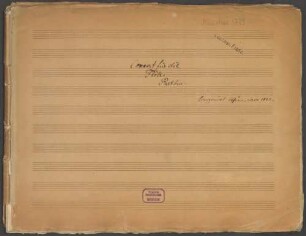 Concertos, fl, orch, d-Moll - BSB Mus.ms. 5789 : Concert für die Flöte