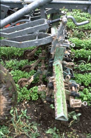 Fotografie: Gartenbautechnik-Freiland, Bodenbearbeitung