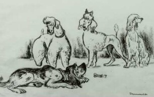 Illustration zu der Folge "Hundeschau"