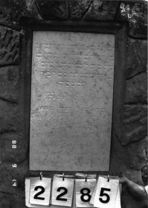 Grabstein 2285 (Index: 100097407) Maße HxBxT: 157x57x29 cm Symbolik: Baumstamm: Grabstein 2285 (Detailaufnahme)