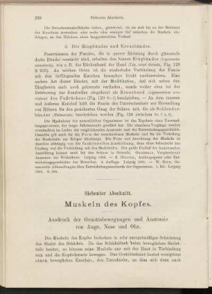 Siebenter Abschnitt. Muskeln des Kopfes.