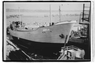 Adele (1954), H. Winter, Hamburg