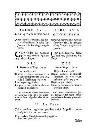 Ordre XVII. Les Quadrupedes qui ont six dents incisives à la mâchoiresupérieure, & huit à l'inférieure, & les doigts onguiculés. - Ordo XVII. Quadrupeda Dentibus incisoribus in maxillâ superiore sex, in inferio