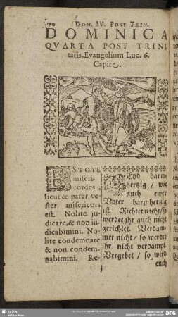 Dominica Quarta Post Trinitatis, Evangelium Luc. 6. Capite