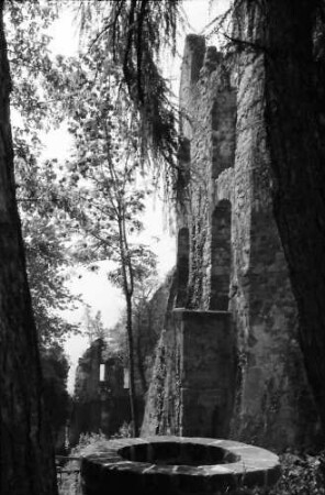 Sexau: Hochburg; Vordergrund Brunnenloch