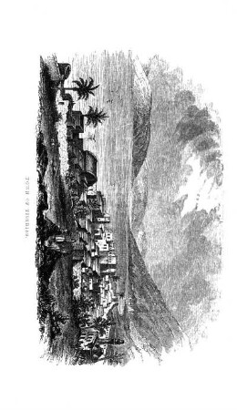 CARAVAN OF THE EXPEDITION