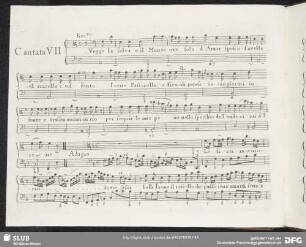 Cantata VII