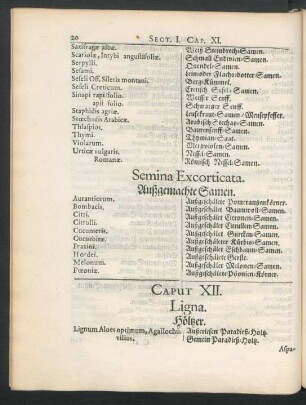 Caput XII. Ligna. Hölzer.