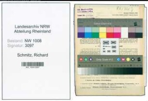 Entnazifizierung Richard Schmitz , geb. 06.02.1908 (Buchdrucker)