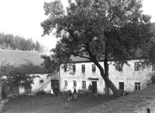 Naturschutz. Baumschutz. Kleiner Gutshof mit Hoflinde, vermutlich Erzgebirge