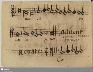 Anonymus: Rorate caeli