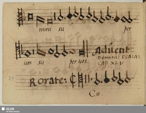 Anonymus: Rorate caeli