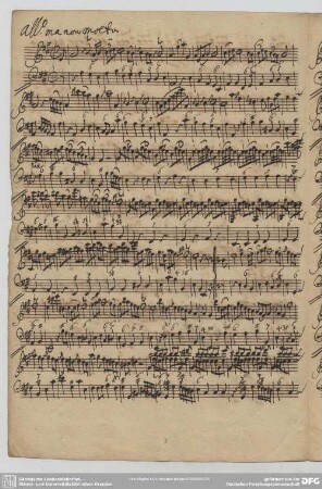 [2.] Allegro ma non molto