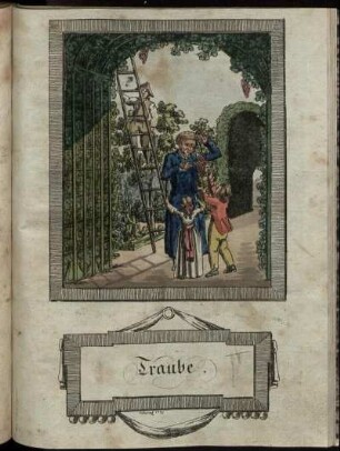 Traube.