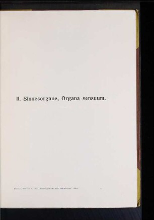 II. Sinnesorgane, Organa sensuum.