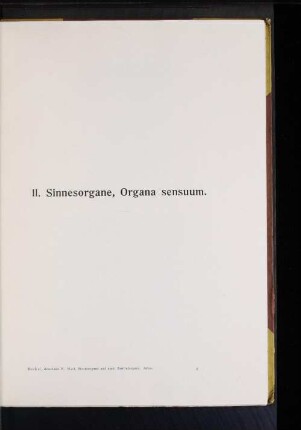 II. Sinnesorgane, Organa sensuum.