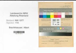 Entnazifizierung Albert Brachthaeuser , geb. 31.03.1901 ()