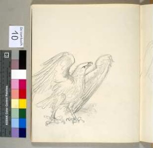 Adler