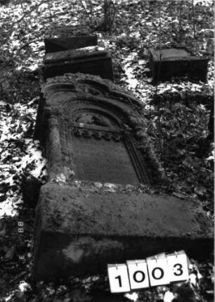 Grabstein 1003