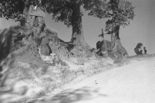 Am Atitlán-See (Lateinamerika-Aufenthalte 1934/1942 – 4. Reise von Bogota nach Mexiko-City 1937)