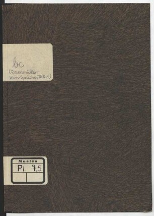 Bassus continuus