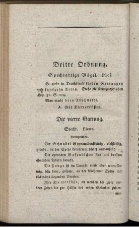 Dritte Ordnung. Spechtartige Vögel. Pici.