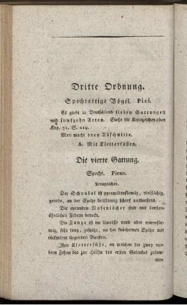 Dritte Ordnung. Spechtartige Vögel. Pici.