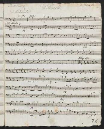 Violoncell