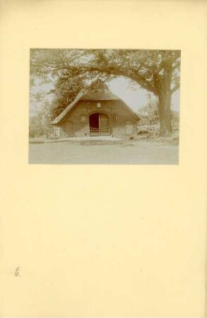 Bauernhaus : Niedersächsisches Bauernhaus mit Reetdach.